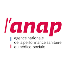 Logo Anap