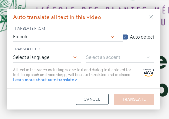Capture d'écran de la fênetre contexte à propos de la traduction instantannée